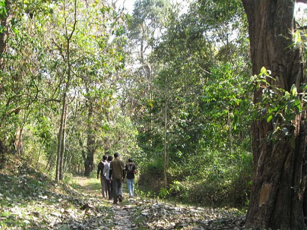 trekking